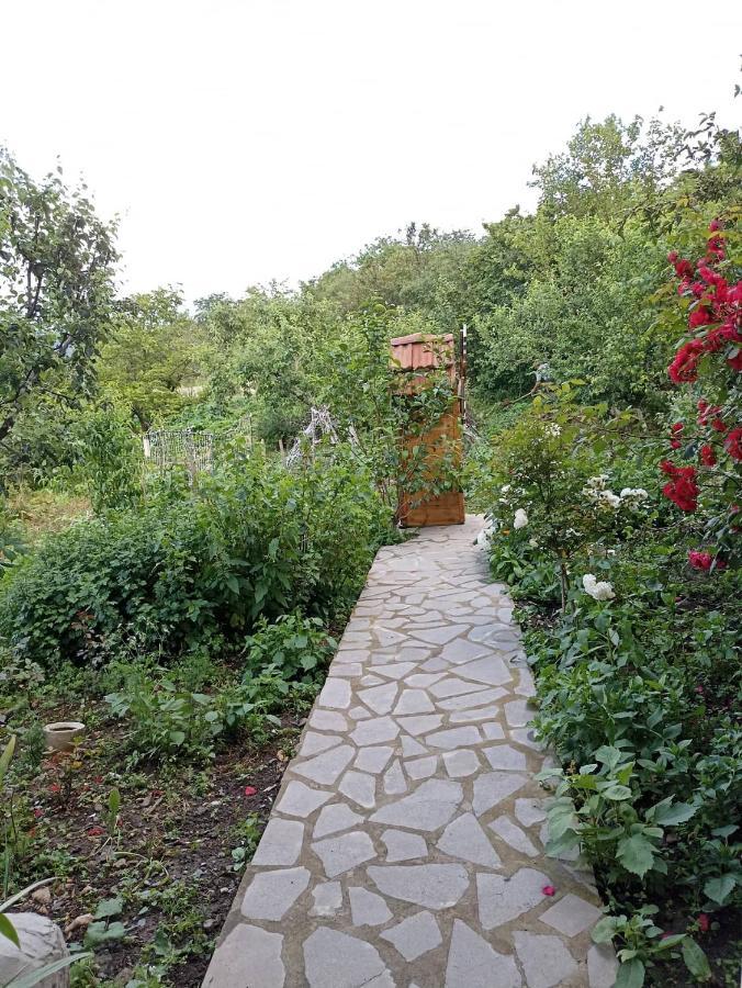 Amoj B&B And Guest House อาลาแวร์ดิ ภายนอก รูปภาพ